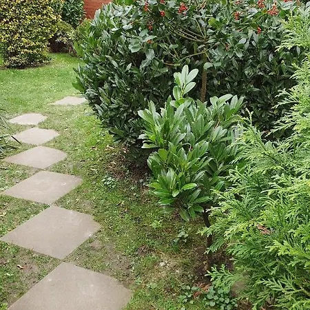 公寓 Zimmervermietung Koltermann