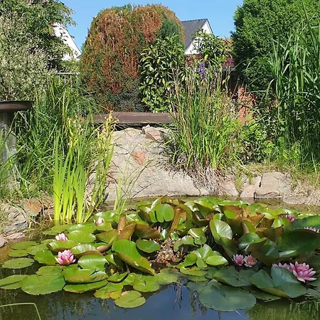 Apartamento Zimmervermietung Koltermann Greifswald