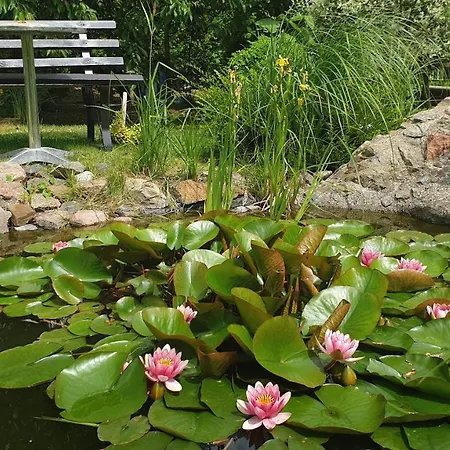 Zimmervermietung Koltermann Apartment *