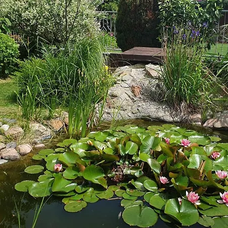 Zimmervermietung Koltermann