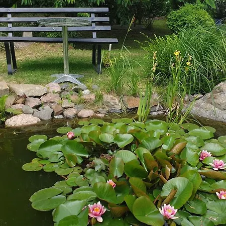 Zimmervermietung Koltermann * 格赖夫斯瓦尔德