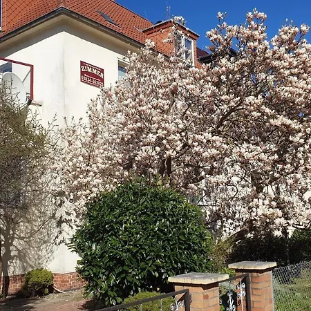 Zimmervermietung Koltermann Greifswald