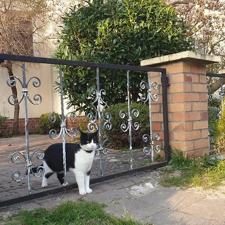 Apartment Zimmervermietung Koltermann